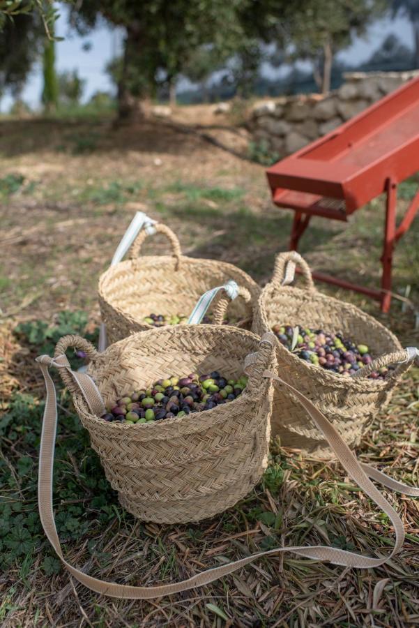 Cortijo La Organic Hotel Ронда Екстериор снимка