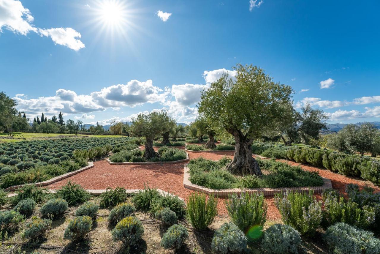 Cortijo La Organic Hotel Ронда Екстериор снимка